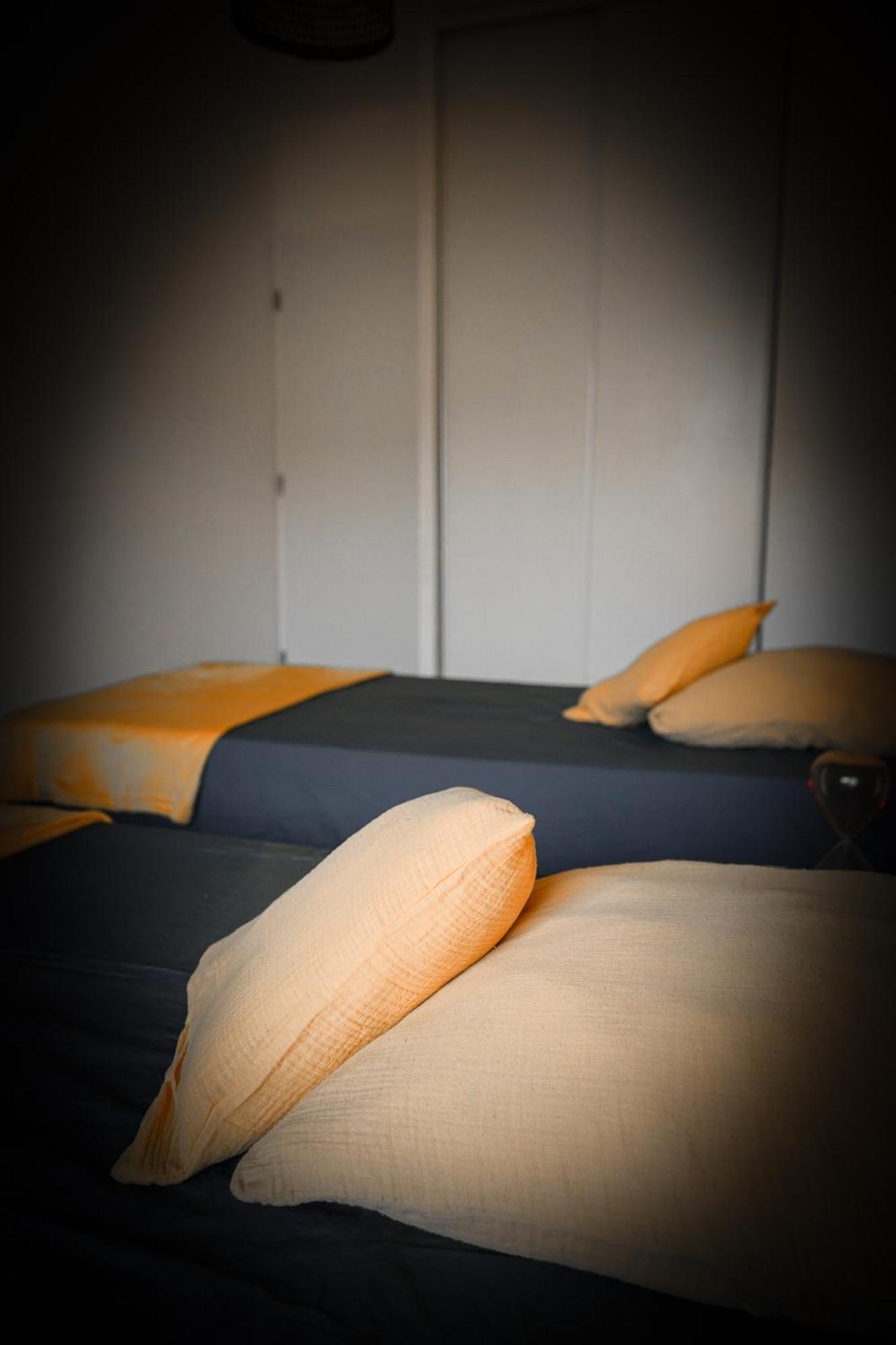 Bel Appartement Climatise & Parking Perpignan Ngoại thất bức ảnh